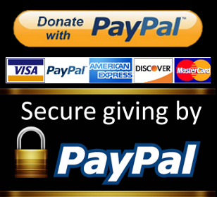 PayPal_secure